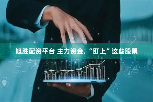 旭胜配资平台 主力资金, “盯上”这些股票